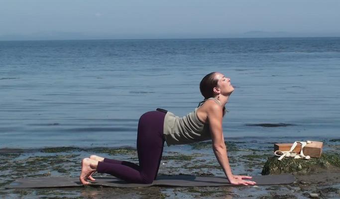 Prana Julia Straight Leg Yoga Pants at  - Free